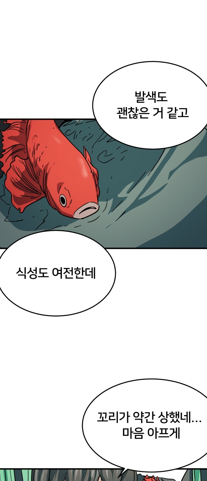 16105269464259.jpg