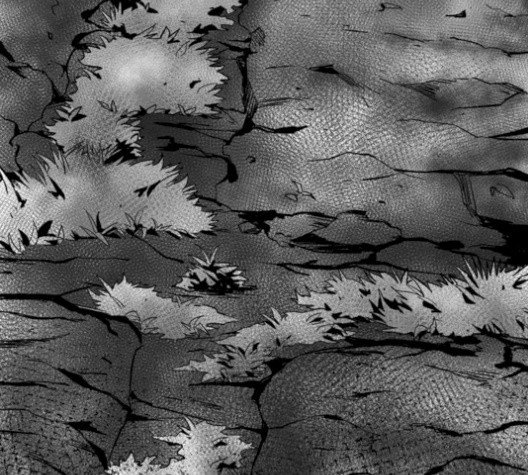 16106200904044.jpg