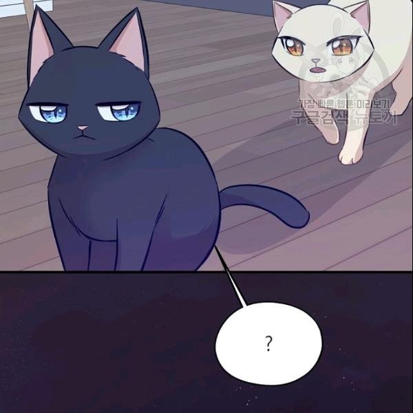16106264494955.jpg