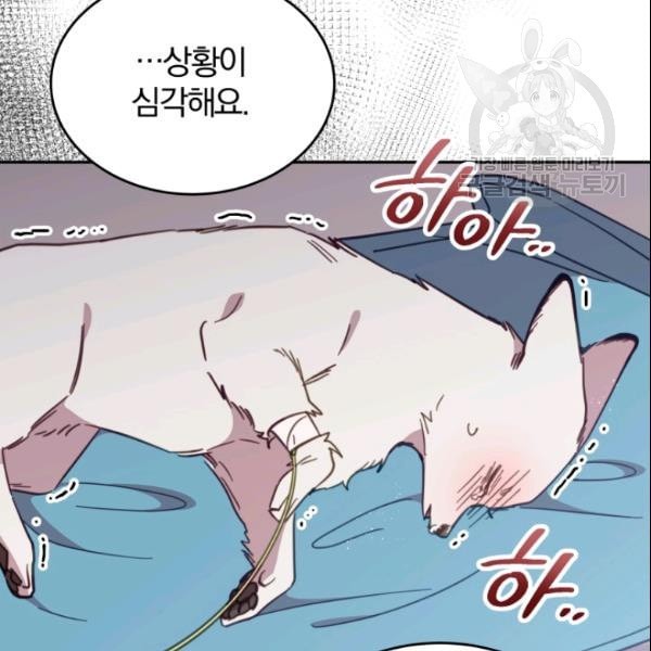 16108728083466.jpeg