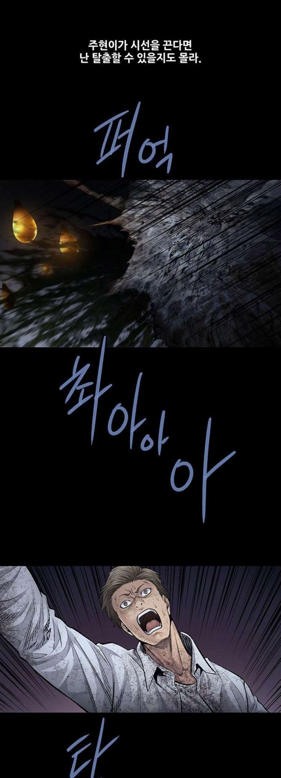161135441653.jpg