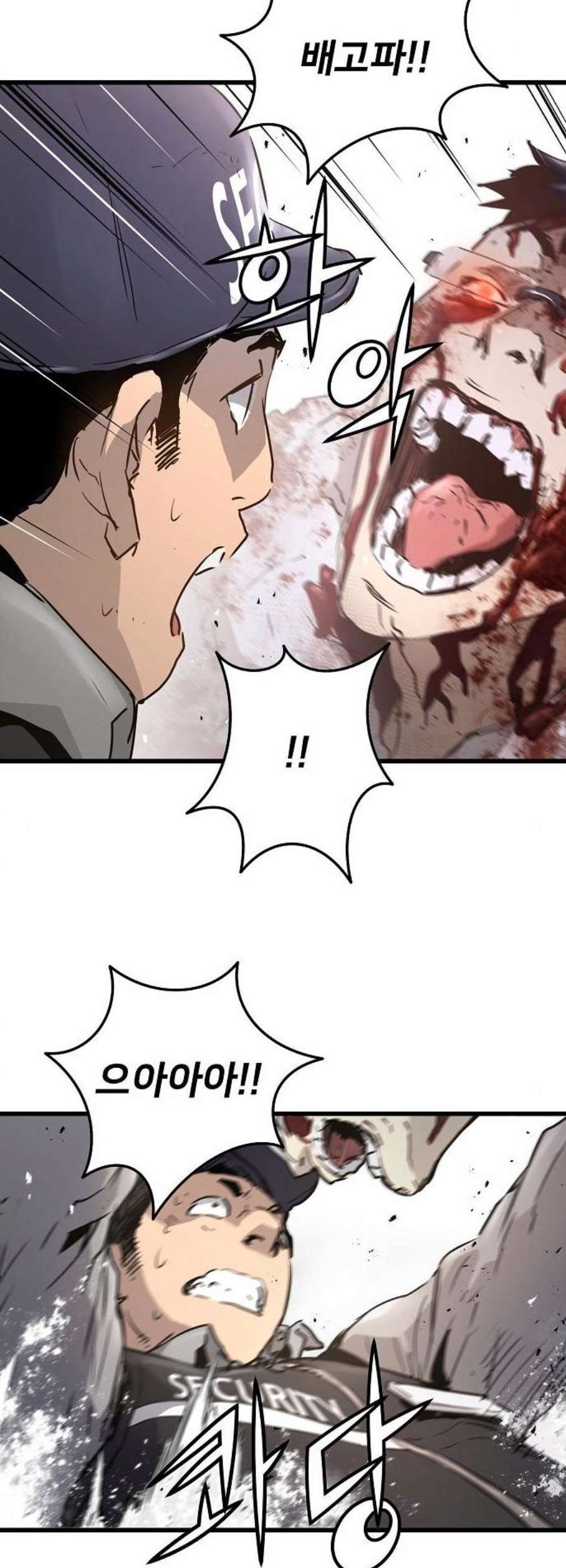 16118920635177.jpeg