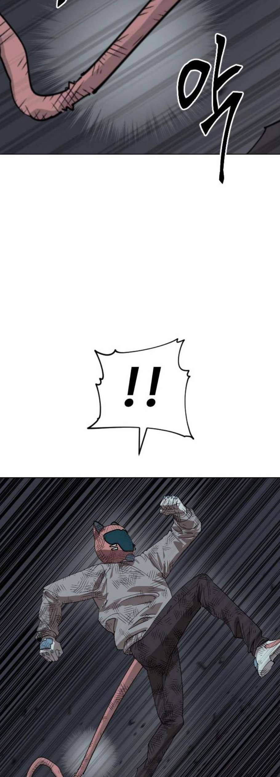 16118944038068.jpeg