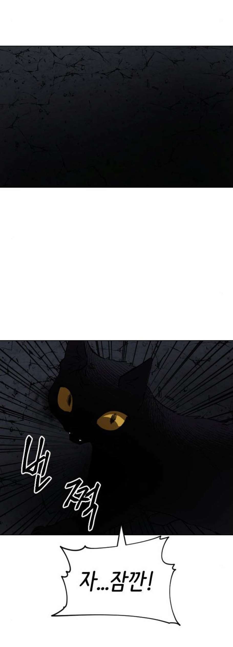 16118944241168.jpeg