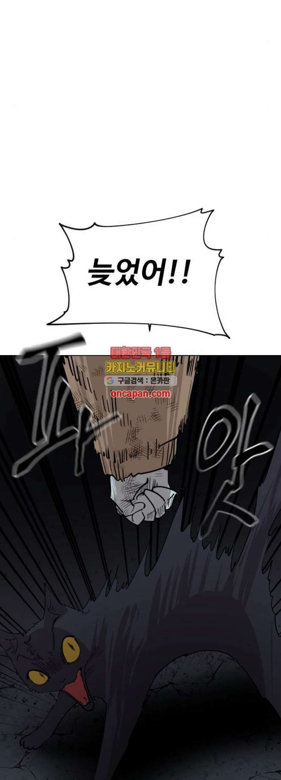 16118944264292.jpeg