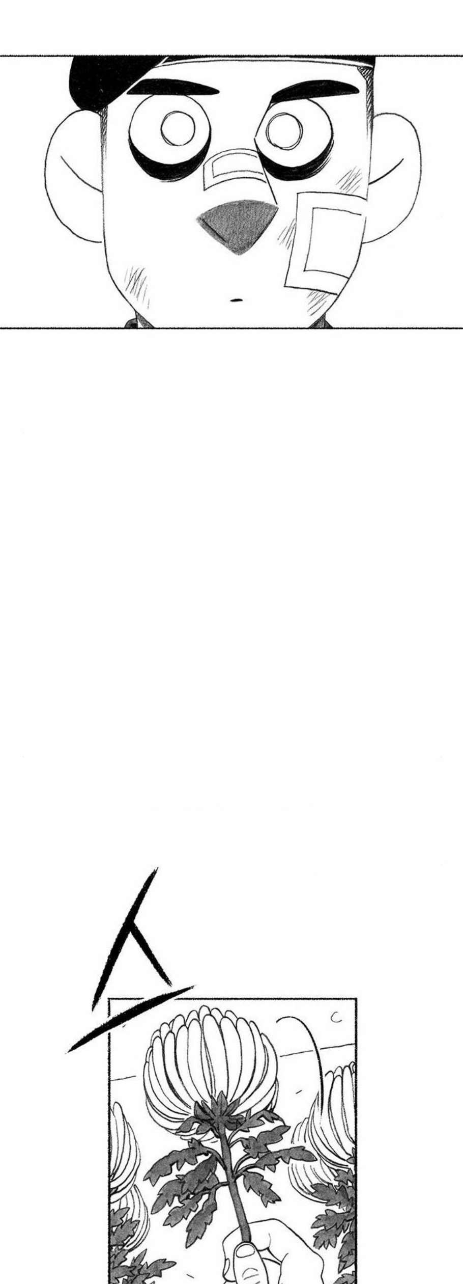 16119544242618.jpeg
