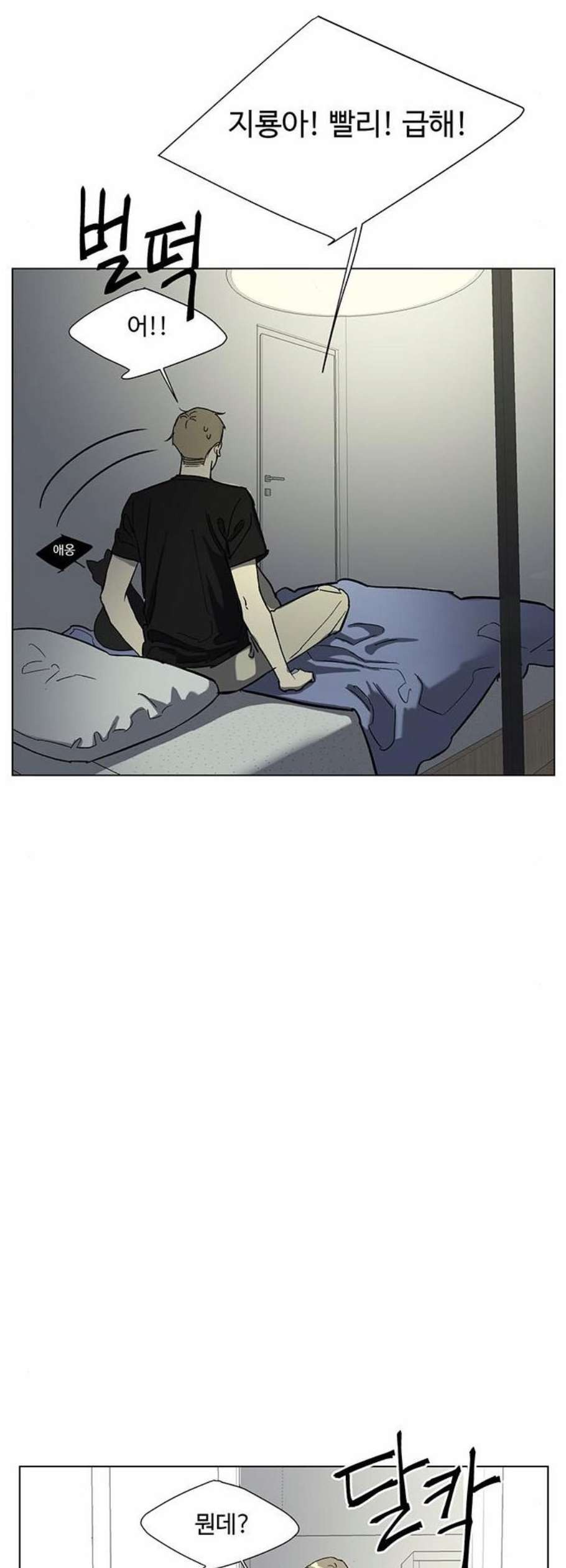 16122341393838.jpeg