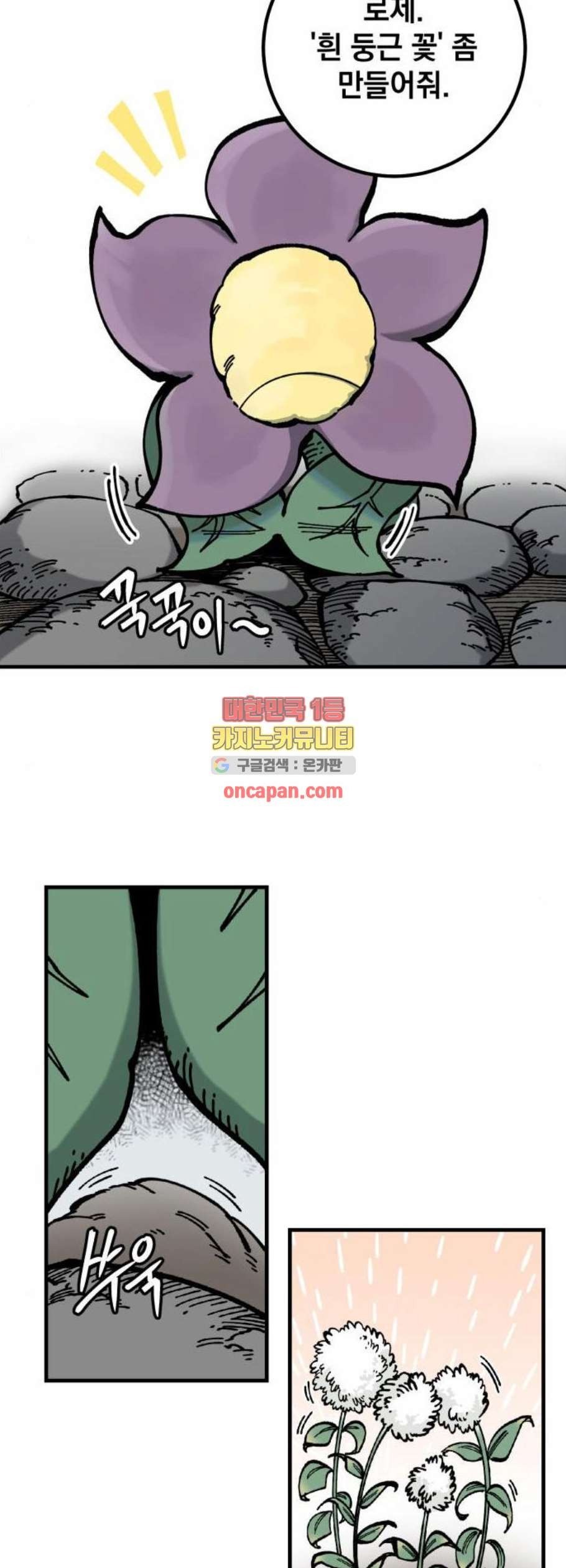 16122371786673.jpeg