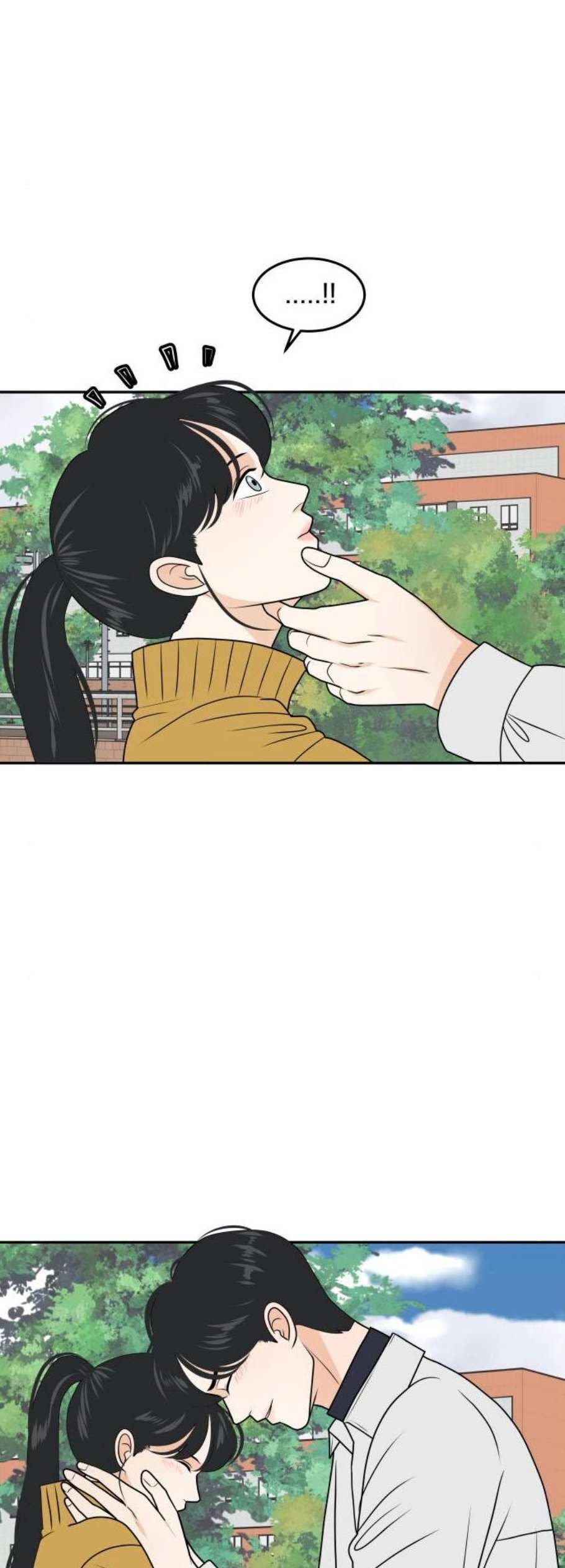 16123992054528.jpeg