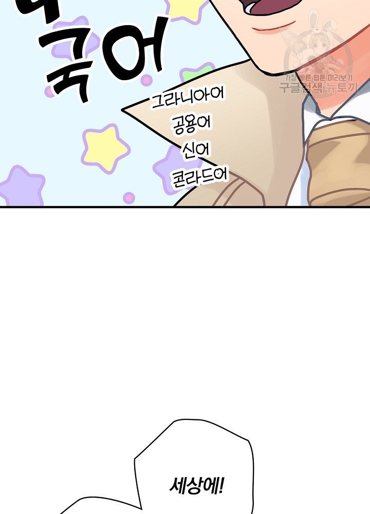 16138728845795.jpeg