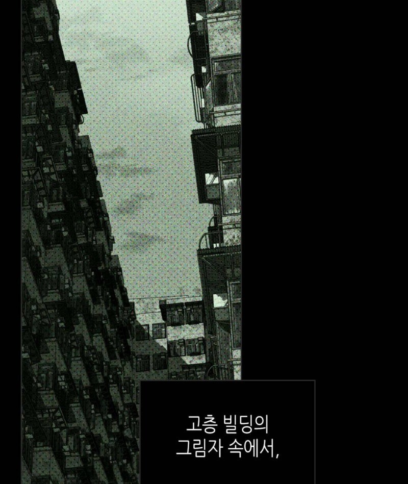 16150162289219.jpg