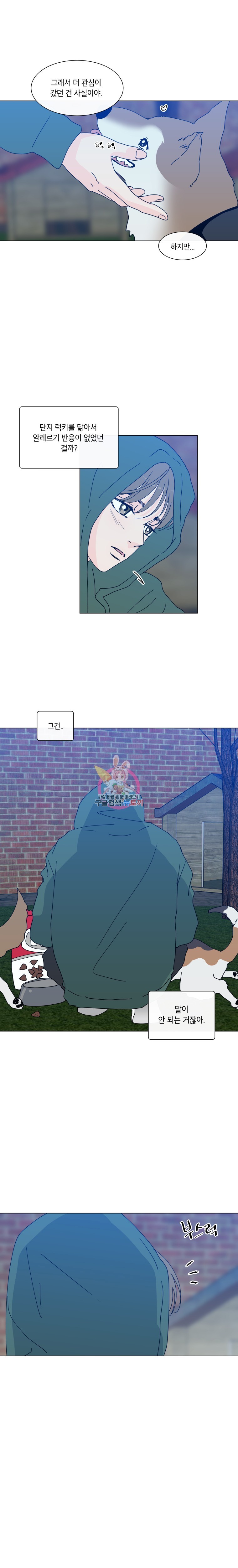16152743040352.jpeg