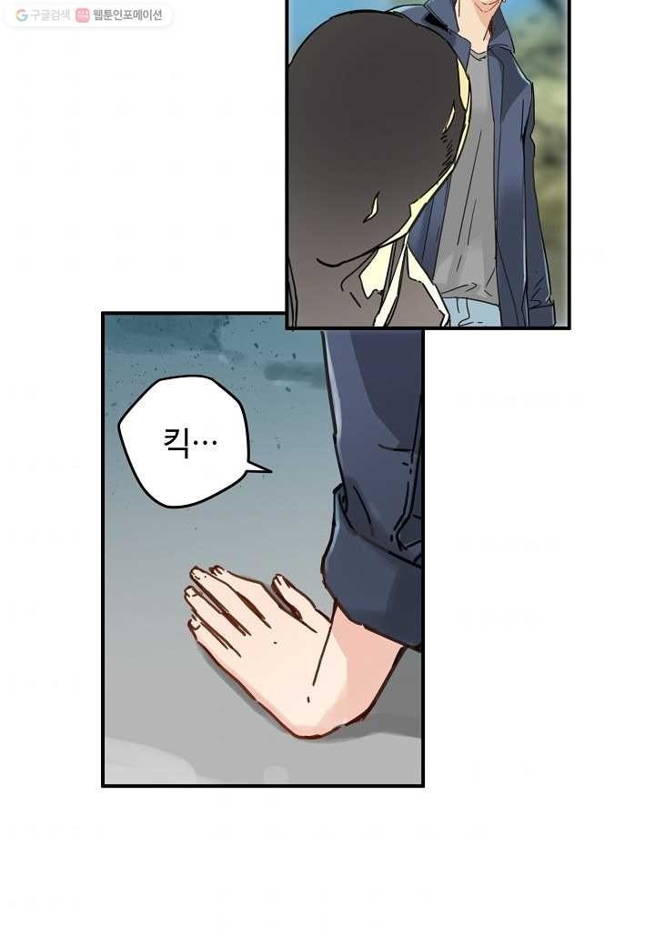16161279999795.jpg