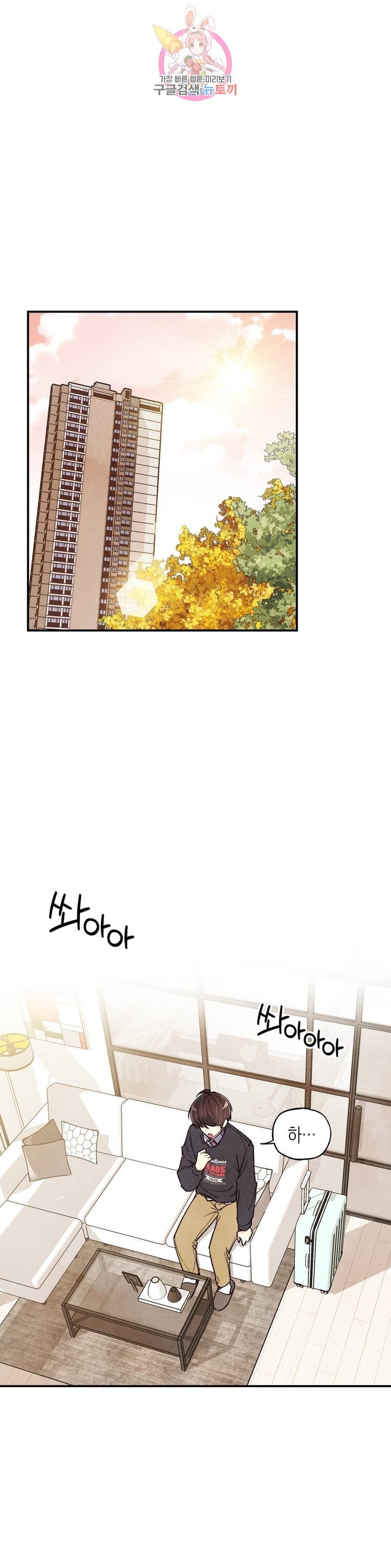 16167235075261.jpg