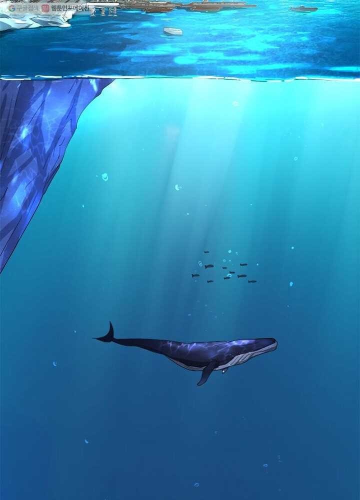 16167365185781.jpg