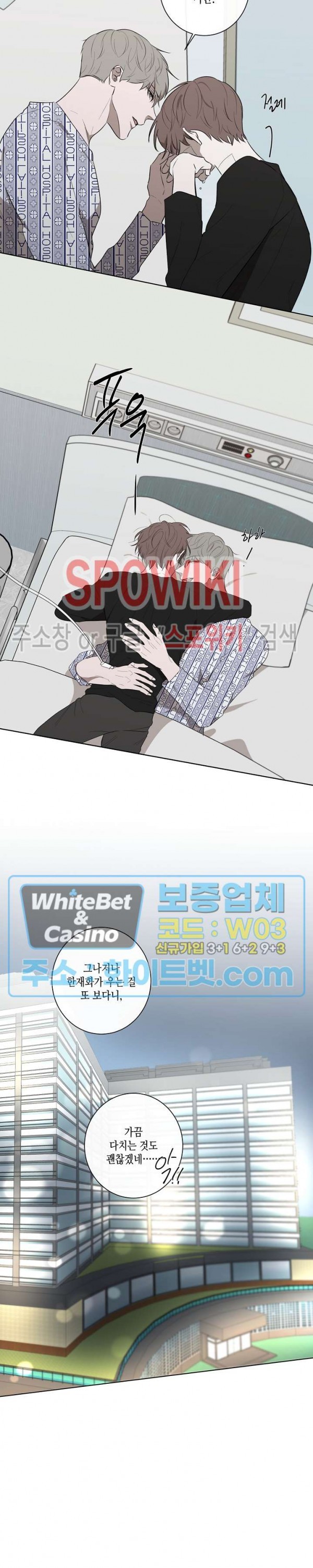 16169934728308.jpg