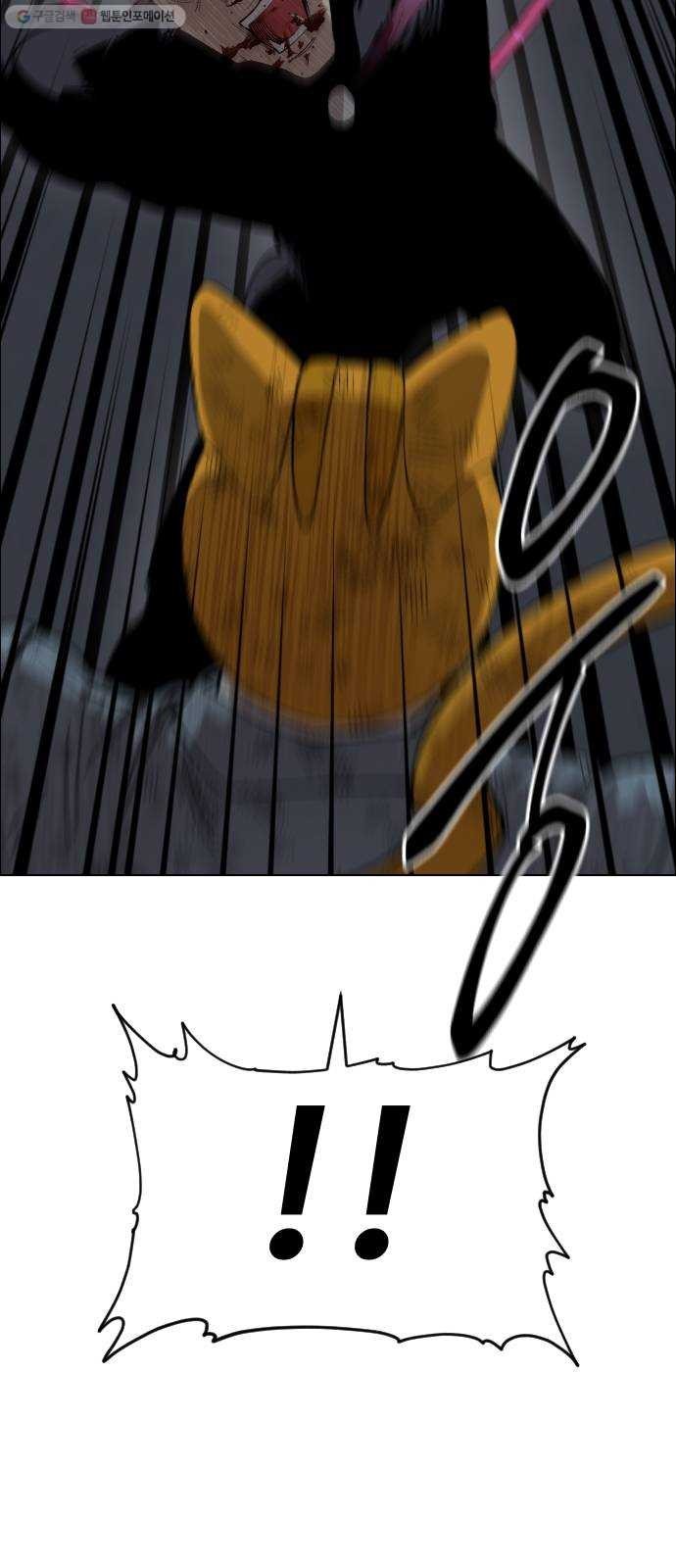 16173195572531.jpg