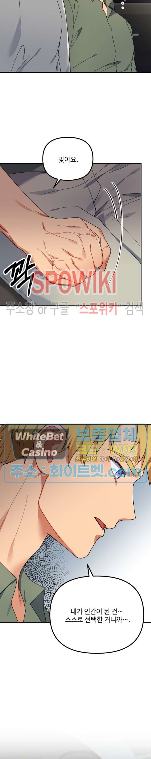 16173204556054.jpg