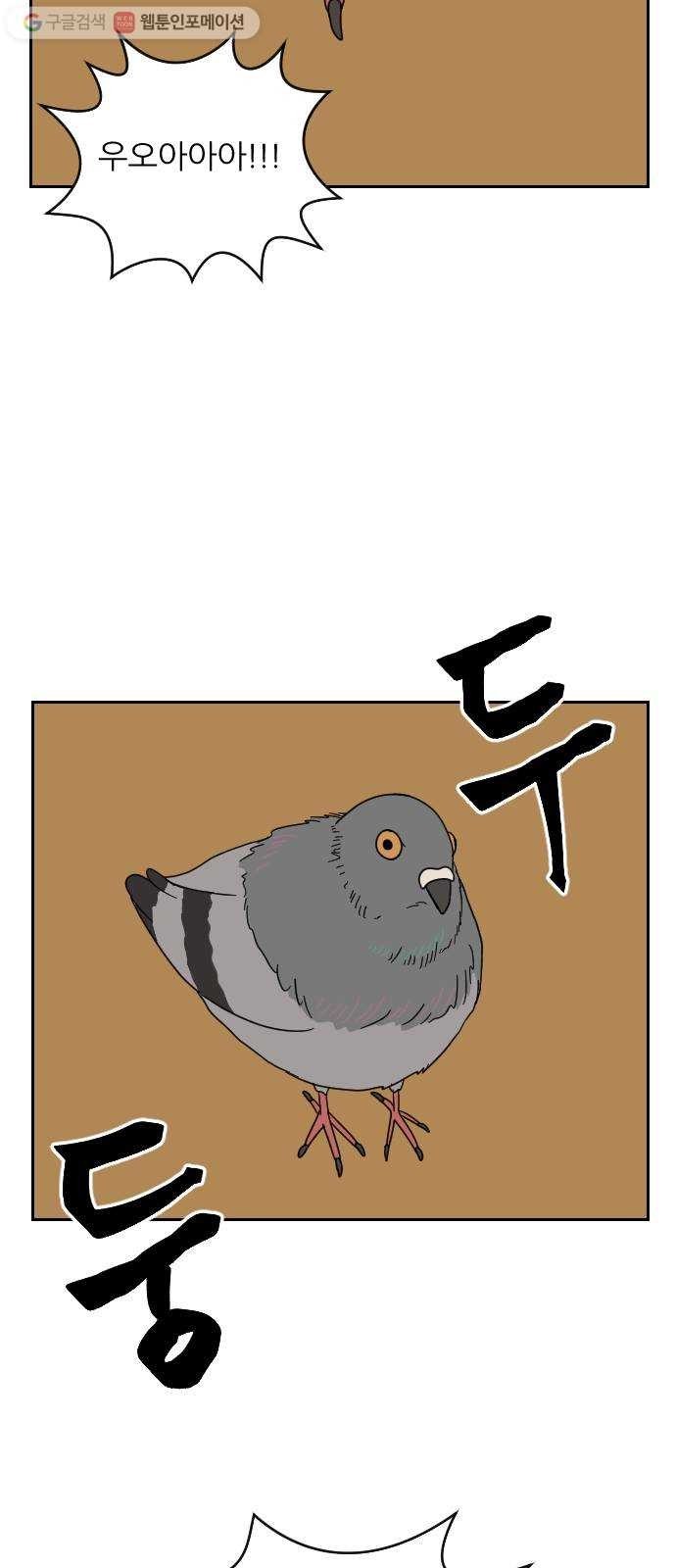16174460201512.jpg