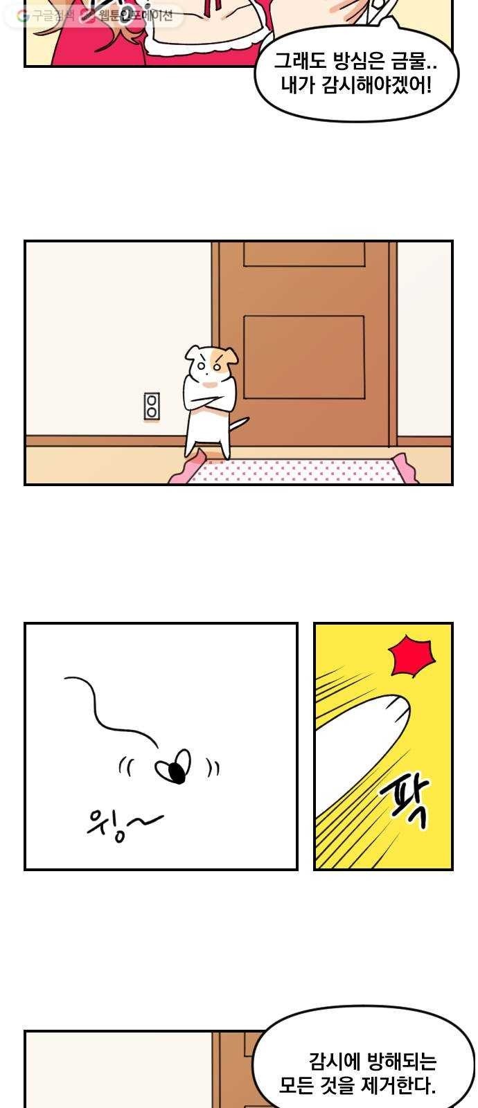 16174988422731.jpg