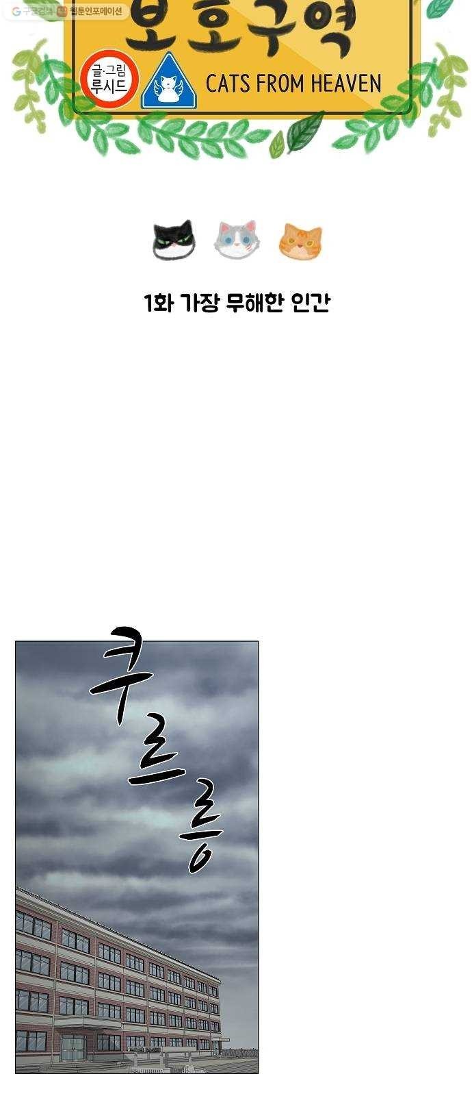16194047539616.jpg