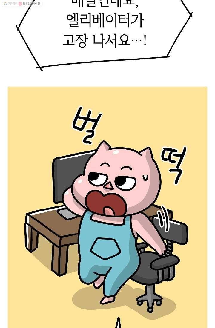 16194856618595.jpg