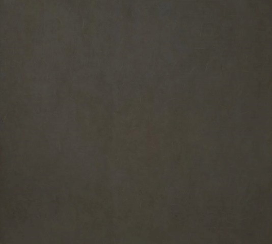1619592207552.jpg