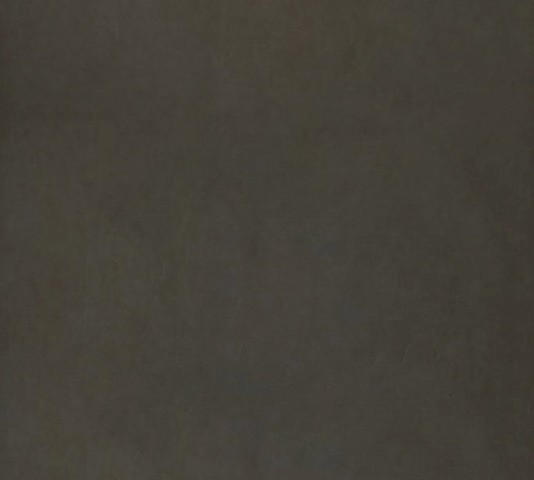 1619592216552.jpg