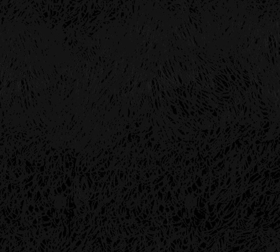 16199187017637.jpg