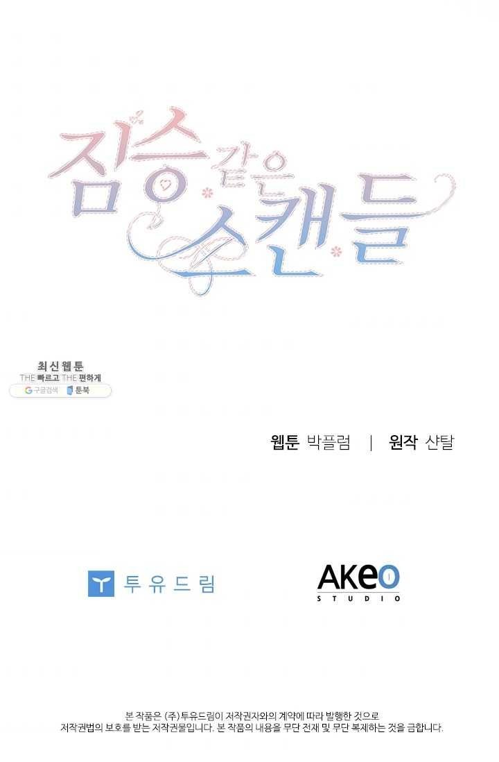 16206844432452.jpg