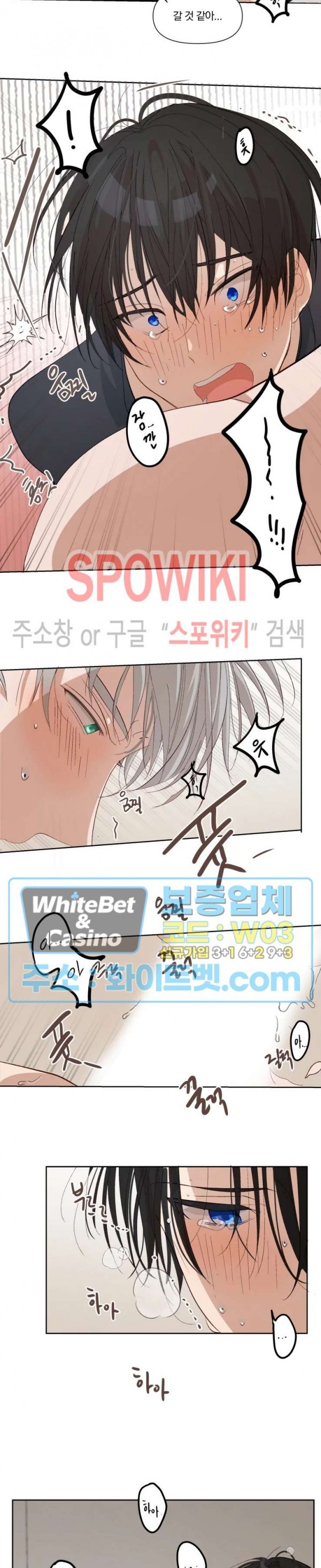 1622002521095.jpg