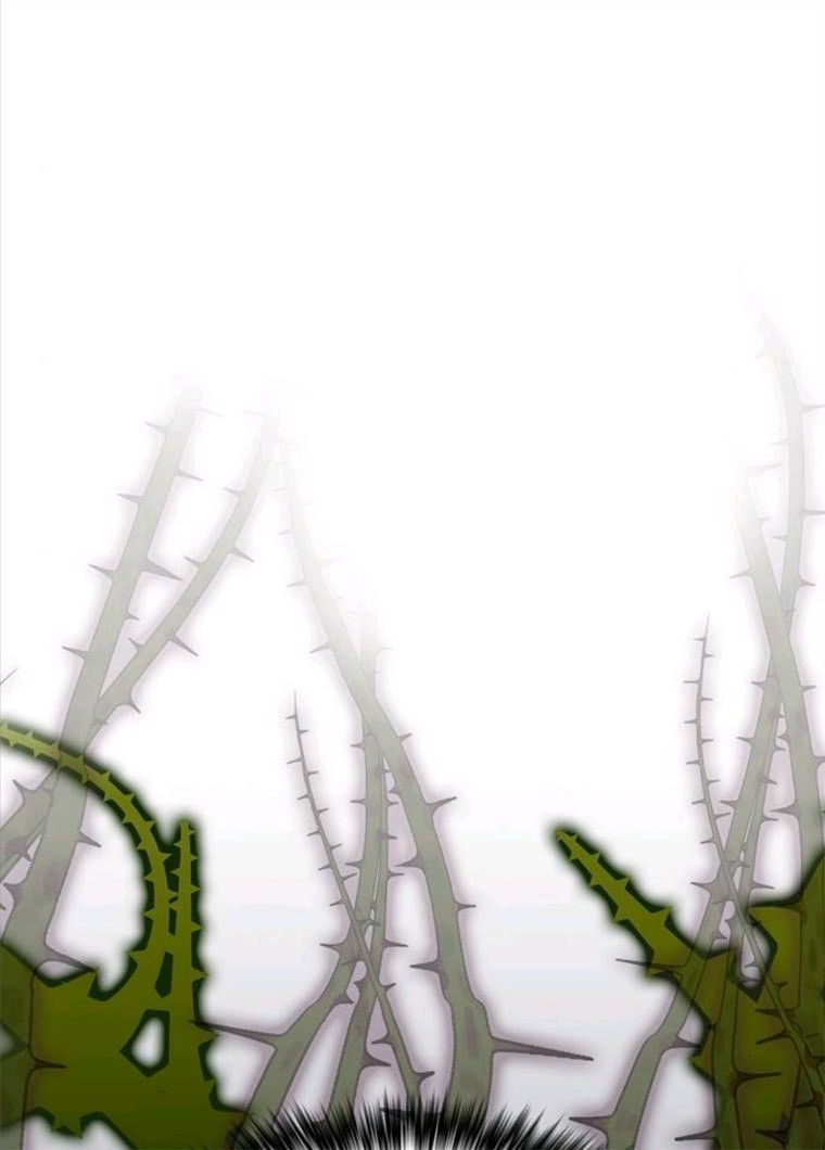 16241465908332.jpg