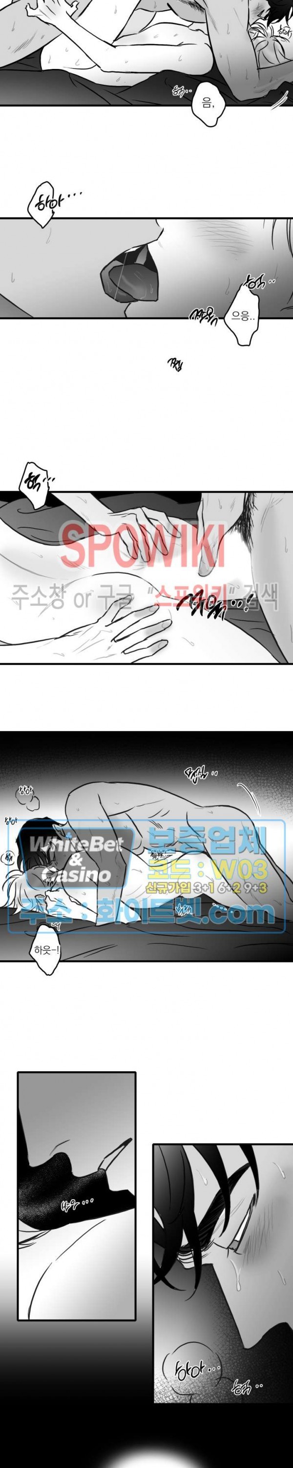 16241515789626.jpg