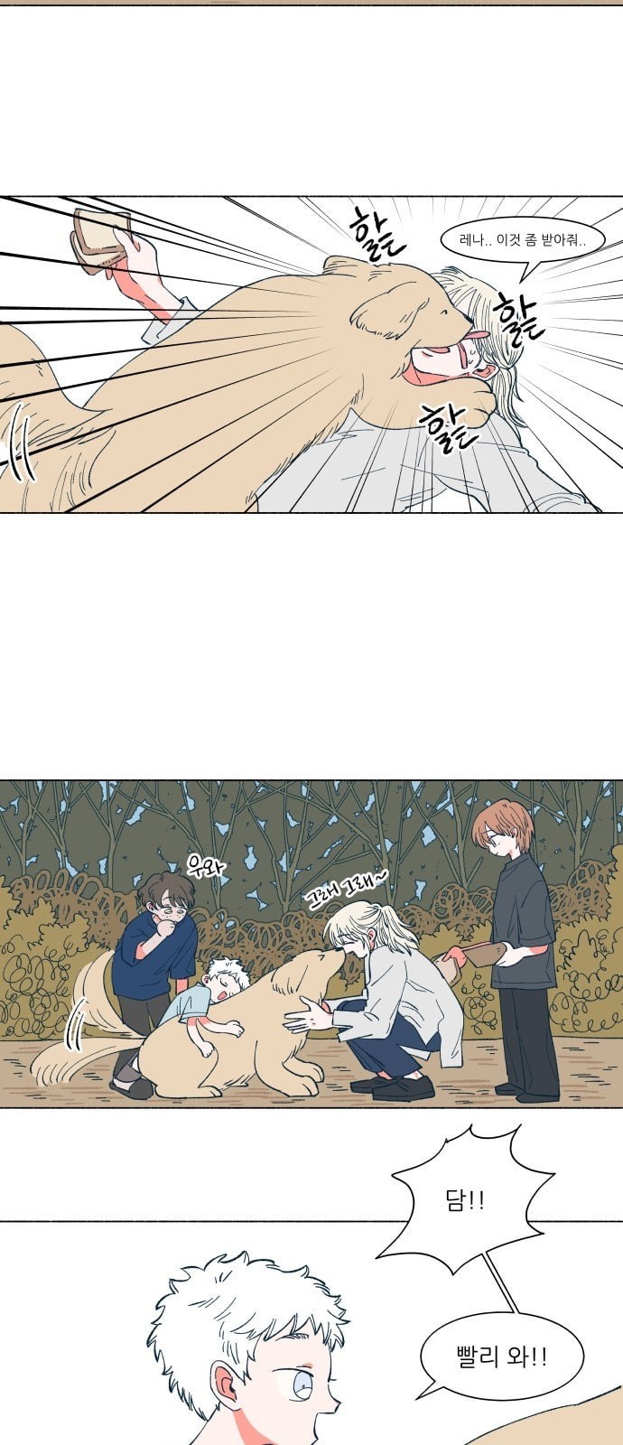 16243553446969.jpeg