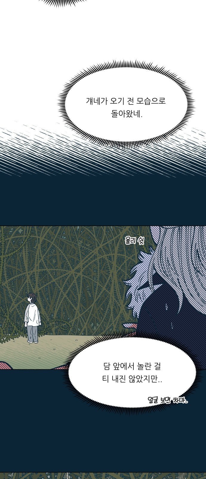 16243557217064.jpeg