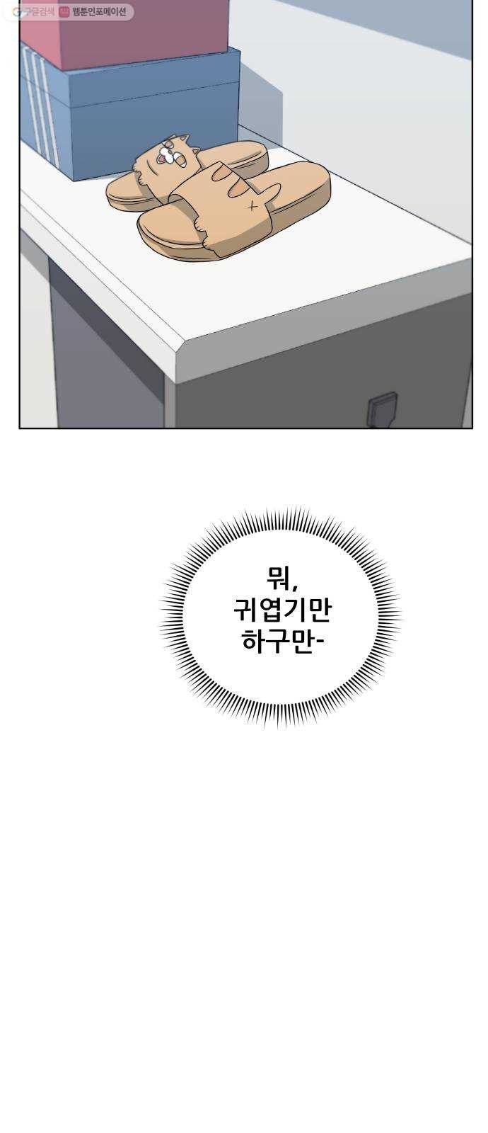 16243931516957.jpeg