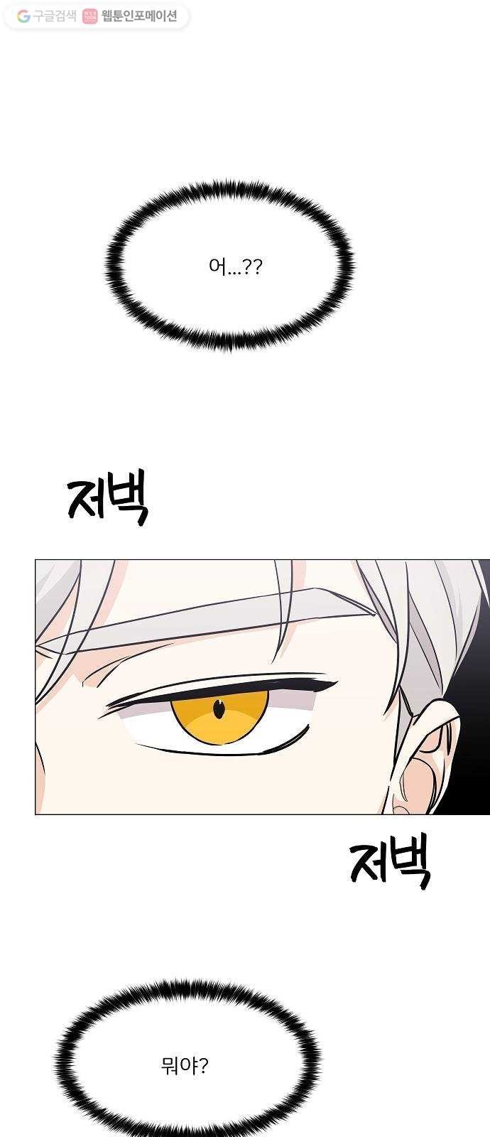 16244850500081.jpg