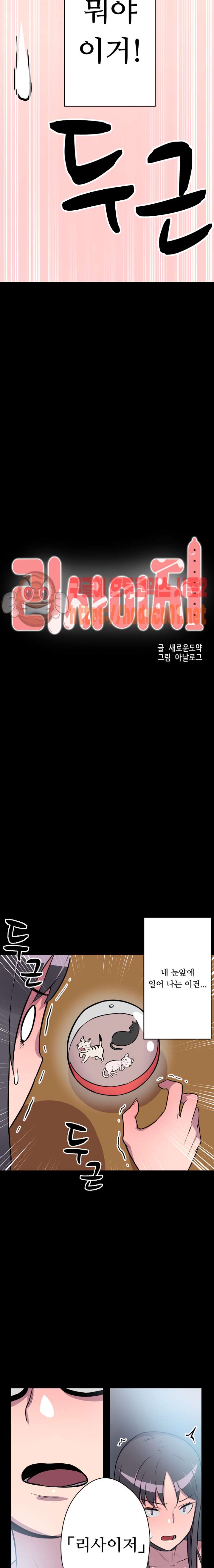 008.jpg